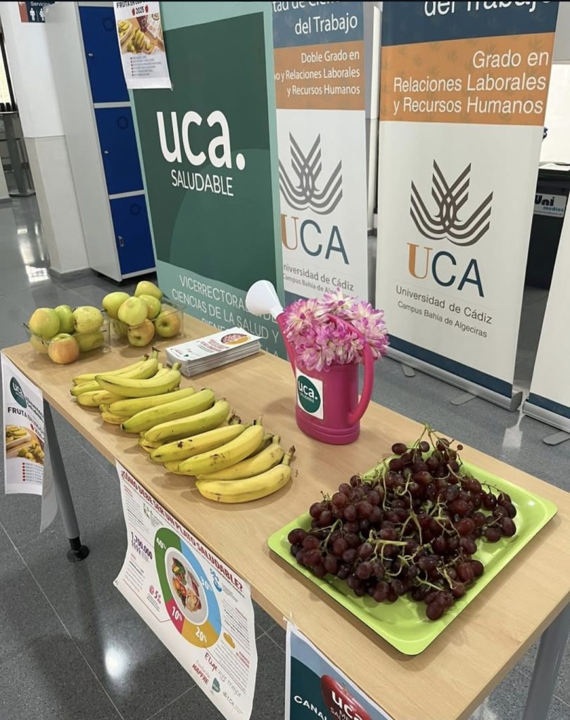 IMG UCA saludable 2025