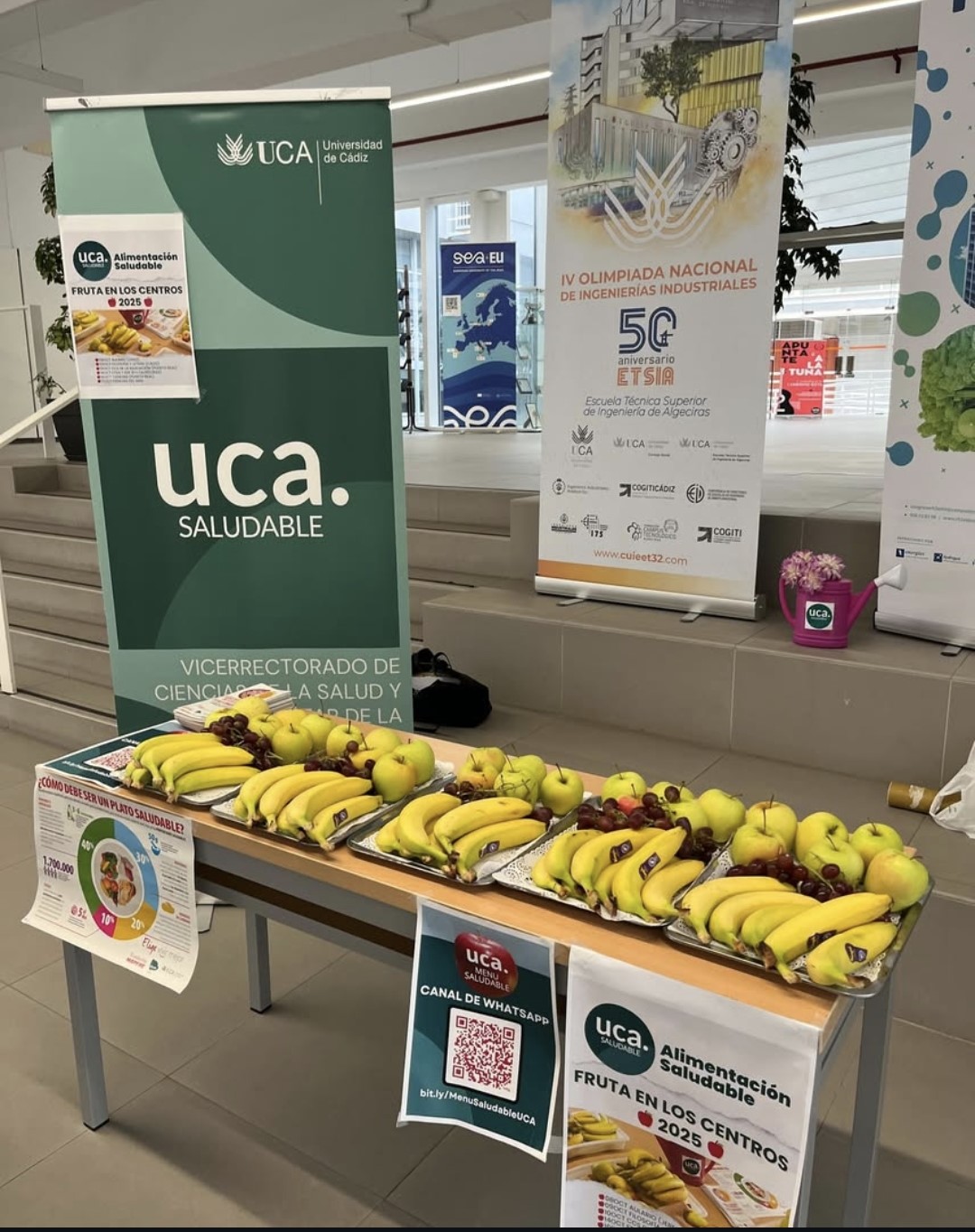 UCA saludable 2025